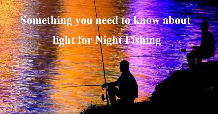 Something You Need to Know About Light for Night Fishing